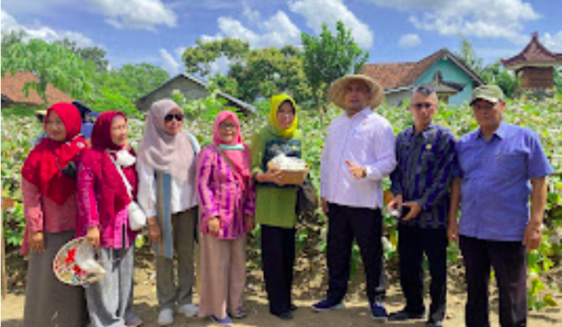 Acara panen kapas di Dusun Gumesa Timur